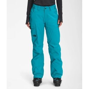 The North Face Freedom Insulated ski/snowboard Pants